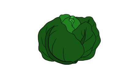 包菜简笔画 绿色尖包菜简笔画