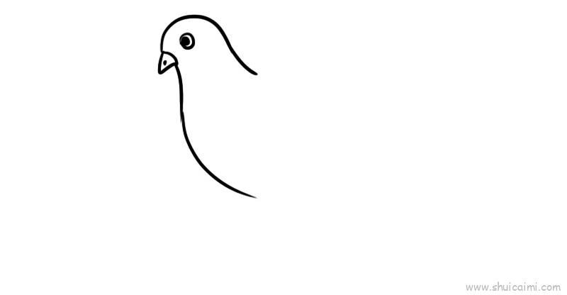 白鸽儿童画怎么画 白鸽简笔画图片