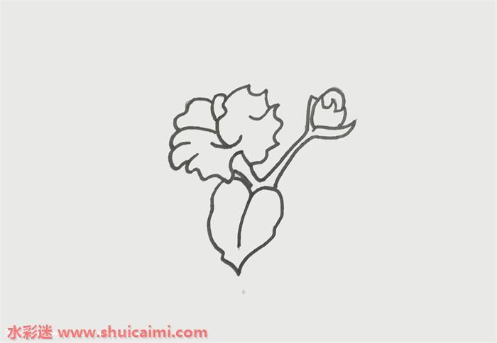 木棉花怎么画 木棉花简笔画简单彩色