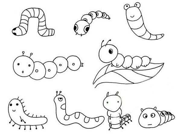 毛毛虫简笔画 毛毛虫简笔画带颜色