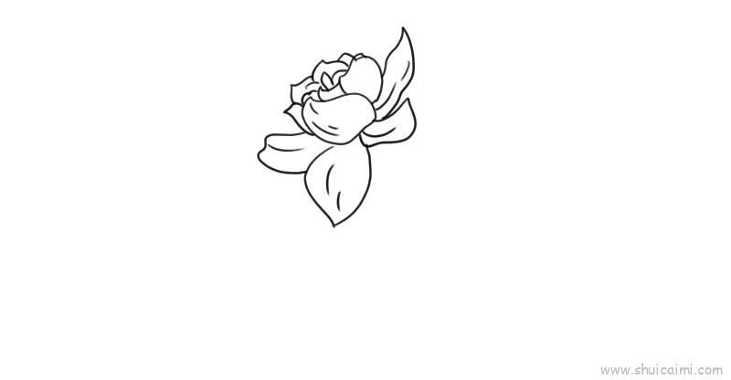 栀子花儿童画怎么画 栀子花简笔画画法