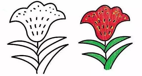 植物图片简笔画 本草纲目植物图片简笔画