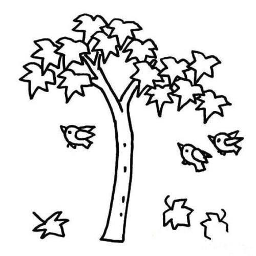 枫树简笔画 枫树简笔画图片大全大图