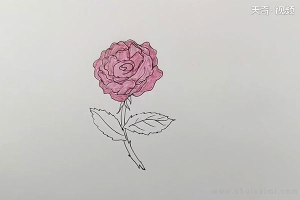 月季花简笔画怎么画 月季花简笔画简单又好看