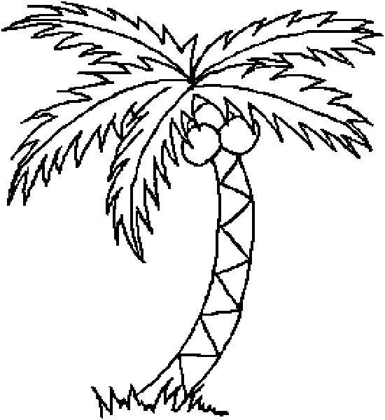 椰子简笔画 椰子简笔画图片