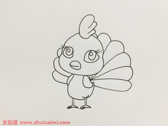 孔雀好看怎么画 孔雀好看简笔画漂亮卡通