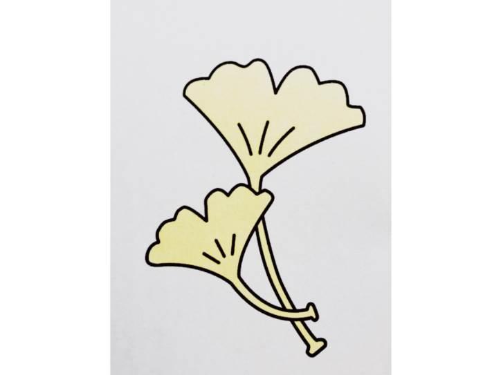 银杏简笔画图片大全 银杏简笔画图片大全可爱