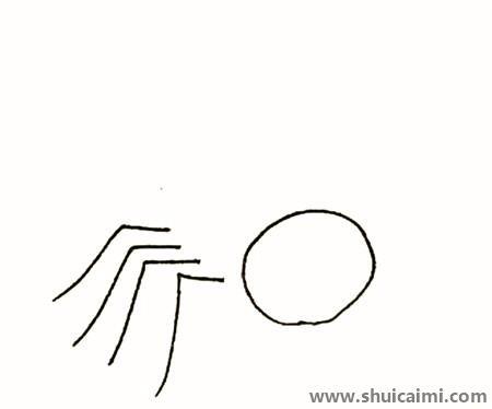 可爱蜘蛛儿童简笔画