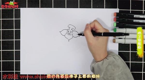 彩色柿子简笔画怎么画?跟着图片教程学习吧