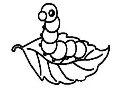 蚕的简笔画图片大全 蚕的简笔画图片大全涂色