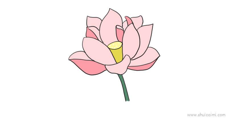 荷花儿童画怎么画 荷花简笔画顺序