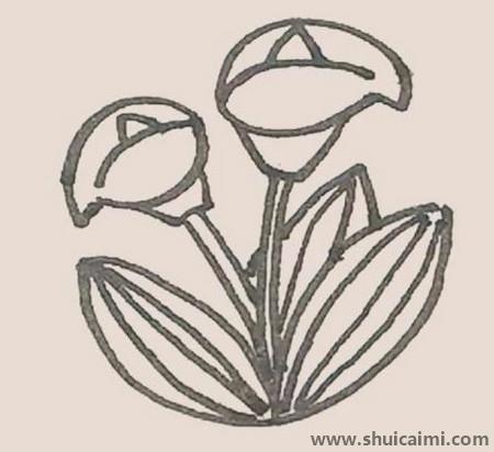 马蹄莲儿童简笔画