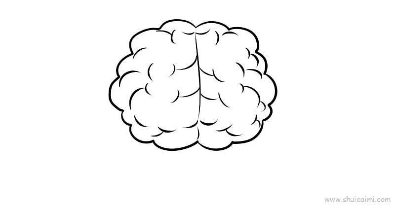 卡通人类大脑简笔画教程