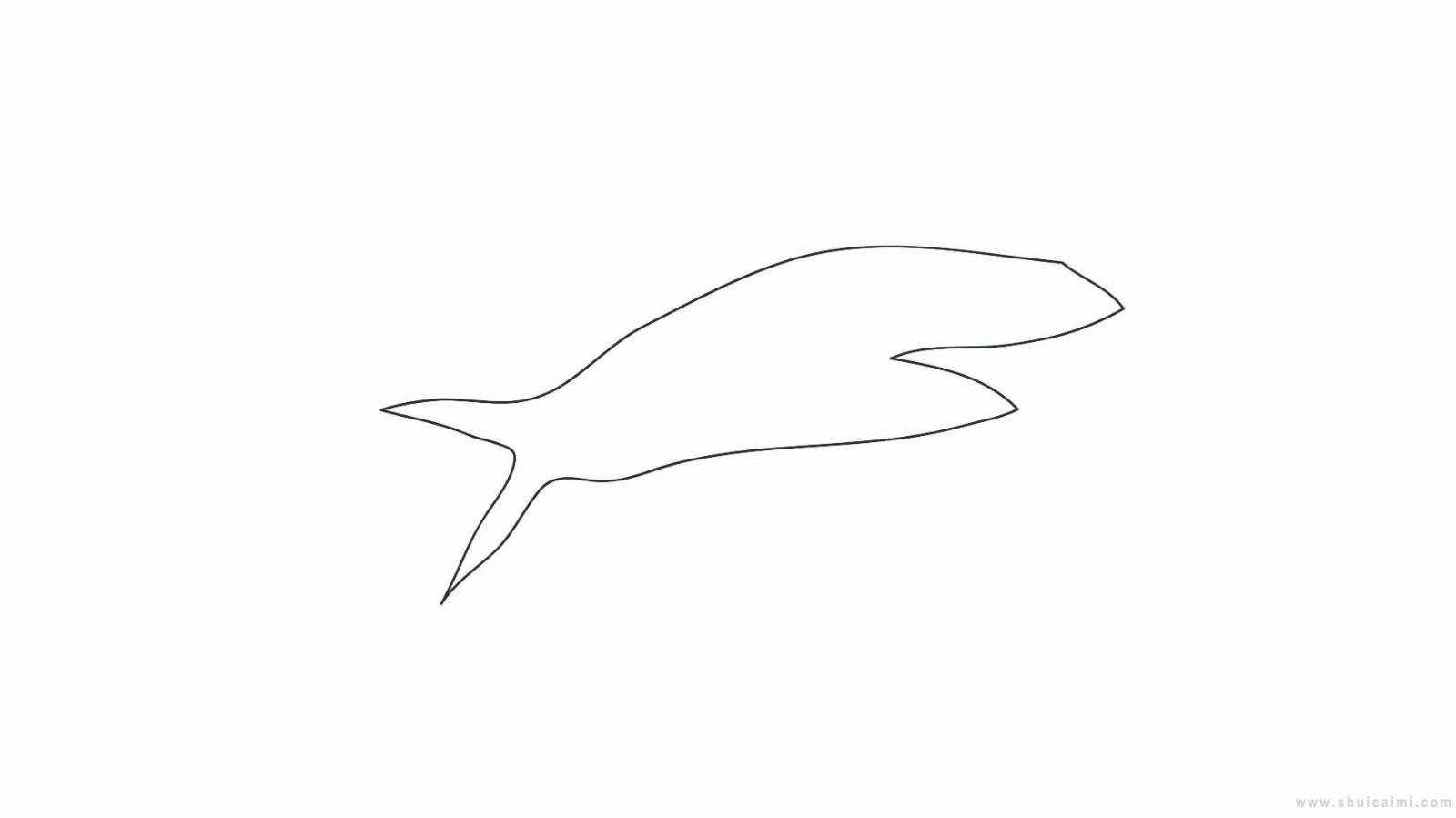 大鲨鱼简笔画怎么画 大鲨鱼简笔画顺序
