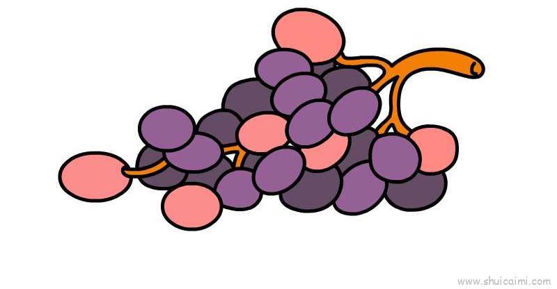 提子儿童画怎么画 提子简笔画图片大全