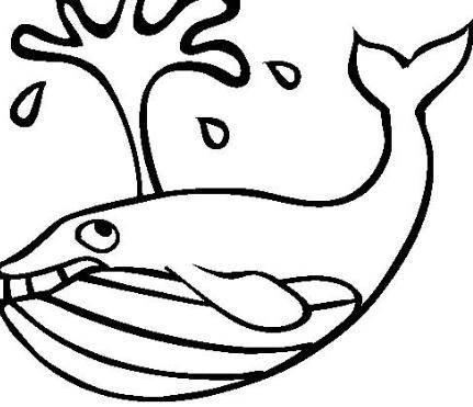 蓝鲸简笔画 蓝鲸简笔画图片大全