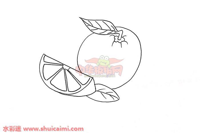 橙子怎么画 橙子简笔画画法