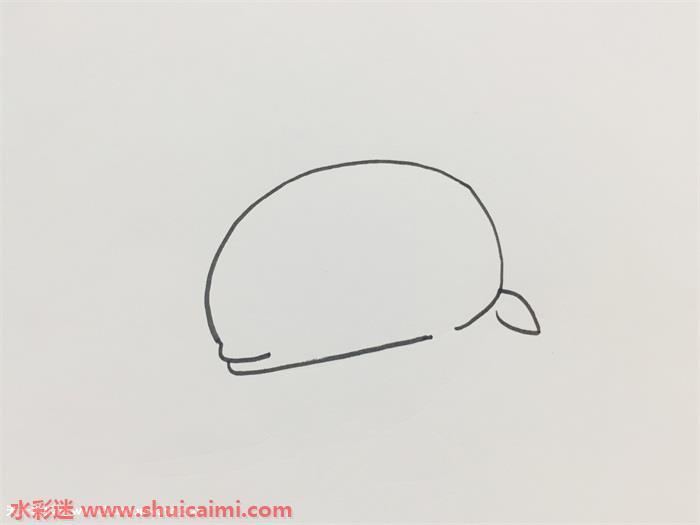 卡通好看的索隆怎么画 索隆简笔画步骤图