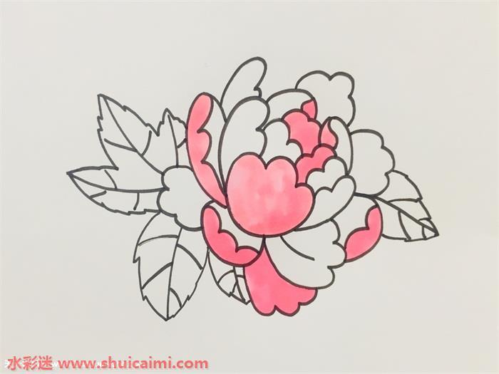 牡丹花怎么画 牡丹花简笔画图片带颜色