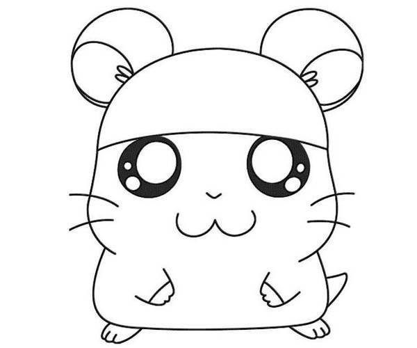 简笔画图片 简笔画图片小动物