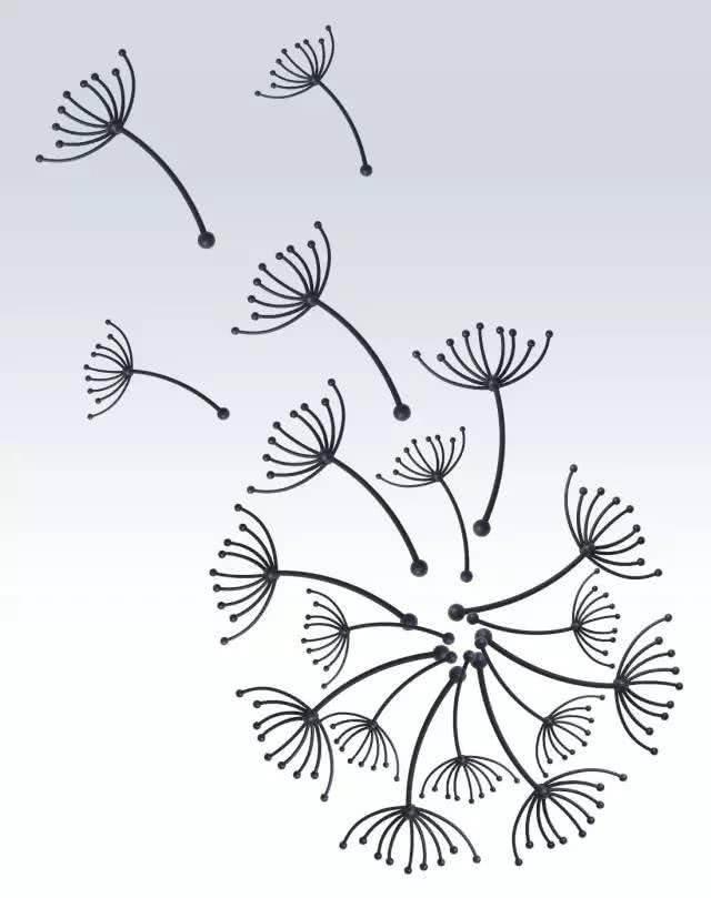 蒲公英简笔画 蒲公英简笔画彩色