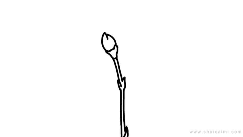 康乃馨简笔画怎么画 康乃馨简笔画画法