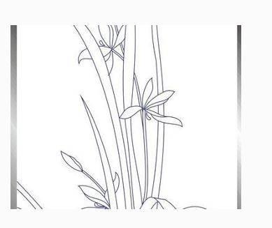 兰花的简笔画图片大全 兰花的简笔画图片大全集
