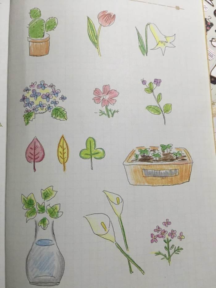 植物简笔画图片大全 植物简笔画图片大全带颜色