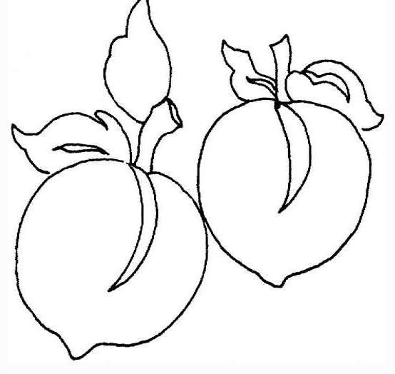 桃子简笔画图片大全 桃子简笔画图片大全大图