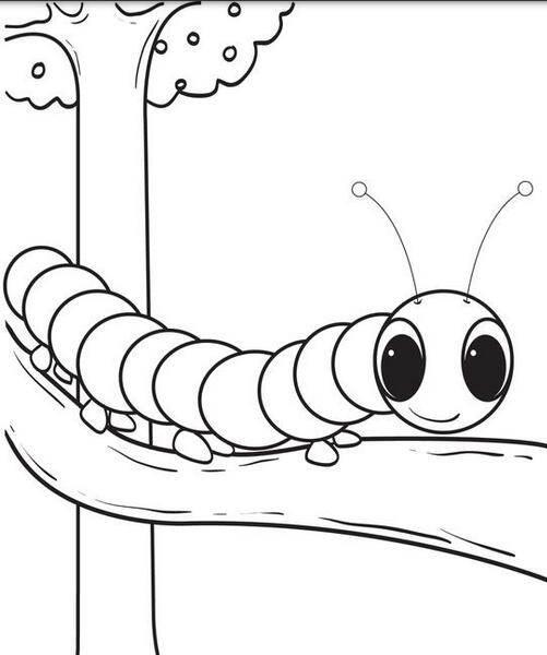 毛毛虫简笔画 毛毛虫简笔画带颜色