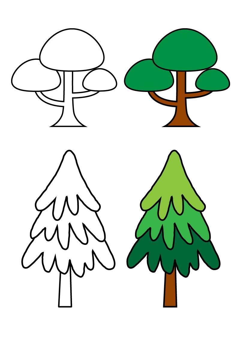 大树的简笔画 大树的简笔画图片