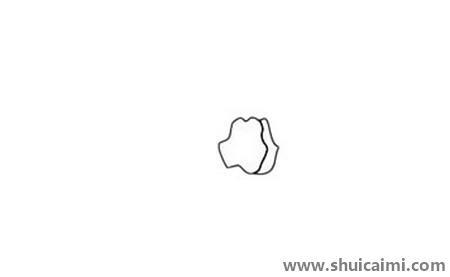 水仙花儿童简笔画