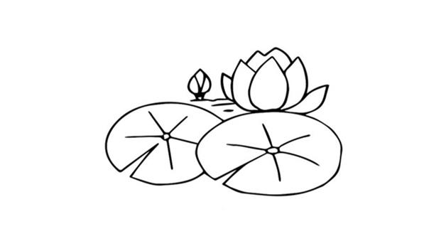 睡莲简笔画怎么画 睡莲简笔画顺序