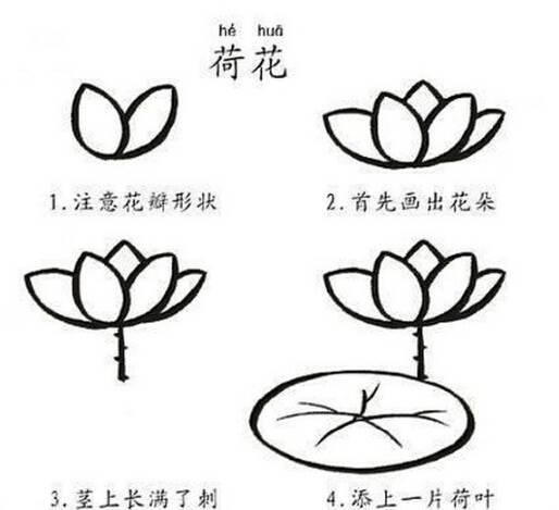 莲花简笔画 莲花简笔画简单又好看