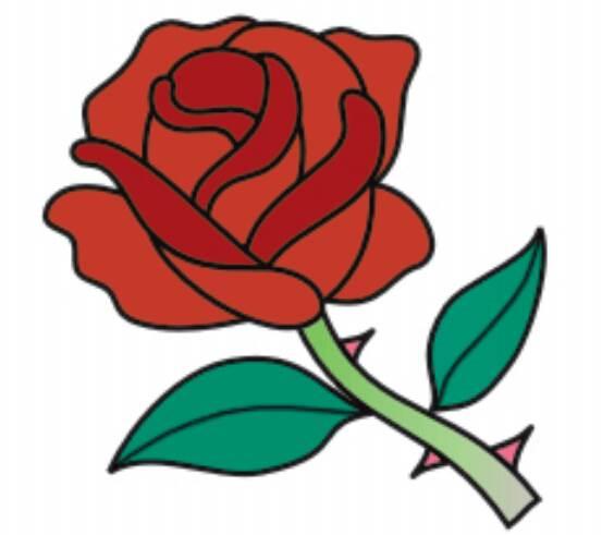 玫瑰花简笔画 玫瑰花简笔画简单漂亮