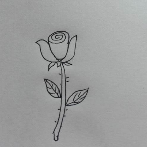 画玫瑰花的简笔画 画玫瑰花的简笔画一朵