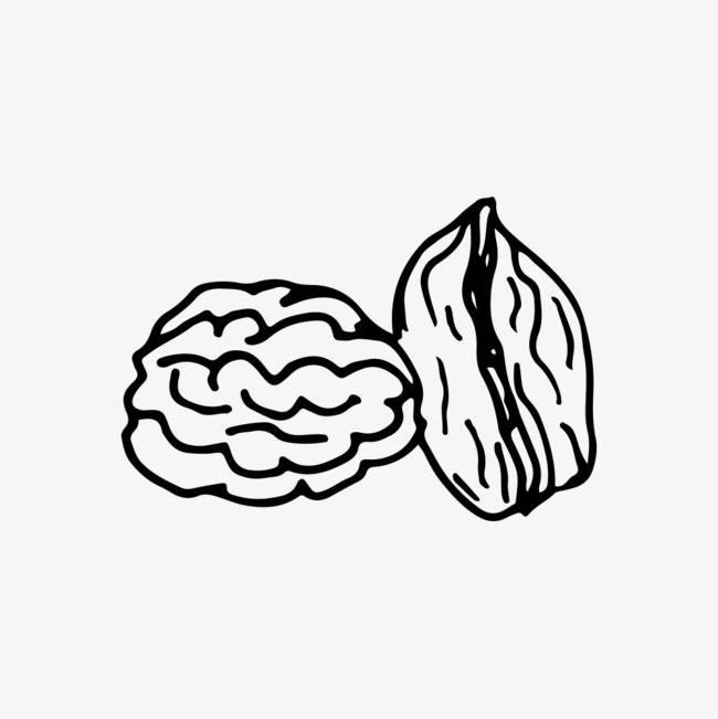 坚果简笔画 植物大战僵尸里面的坚果简笔画