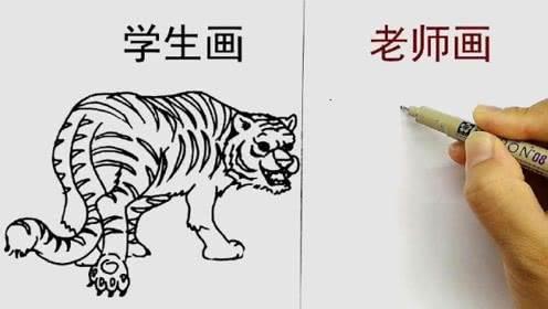 老虎的简笔画 老虎的简笔画凶残霸气