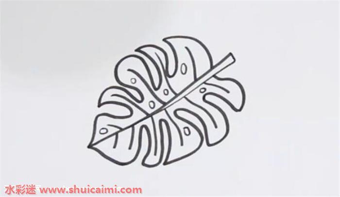 龟背竹怎么画 龟背竹简笔画画法