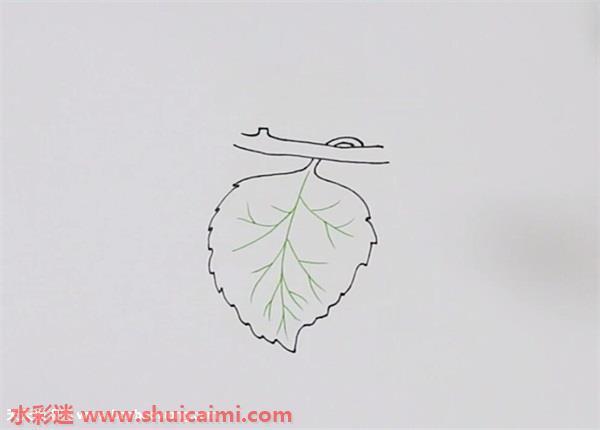 桑叶怎么画 桑叶简笔画步骤图