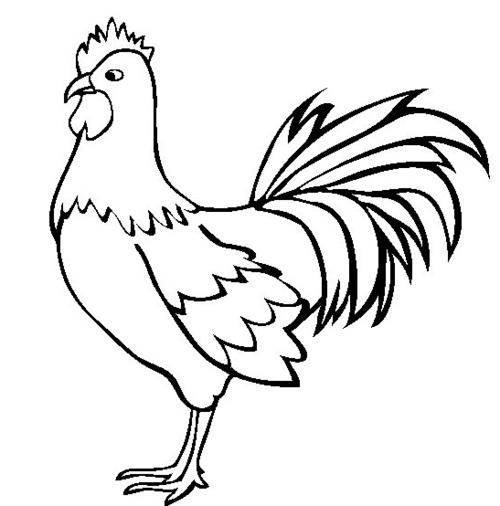 公鸡的简笔画