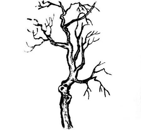 冬天的树简笔画 冬天的树简笔画幼儿园小班