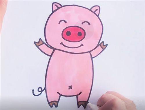 小猪简笔画图片大全可爱 小猪简笔画图片大全可爱彩色