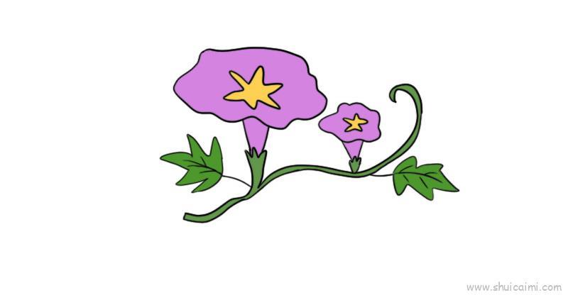 牵牛花教程儿童画怎么画 牵牛花教程简笔画图片