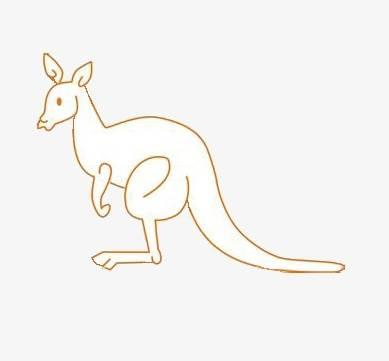 袋鼠简笔画 袋鼠简笔画图片