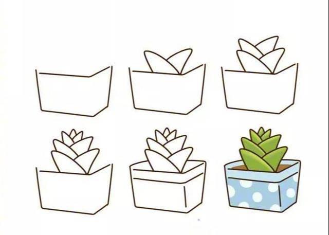 多肉简笔画 多肉简笔画图片大全