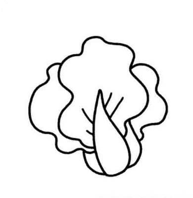 白菜简笔画 白菜简笔画图片带颜色
