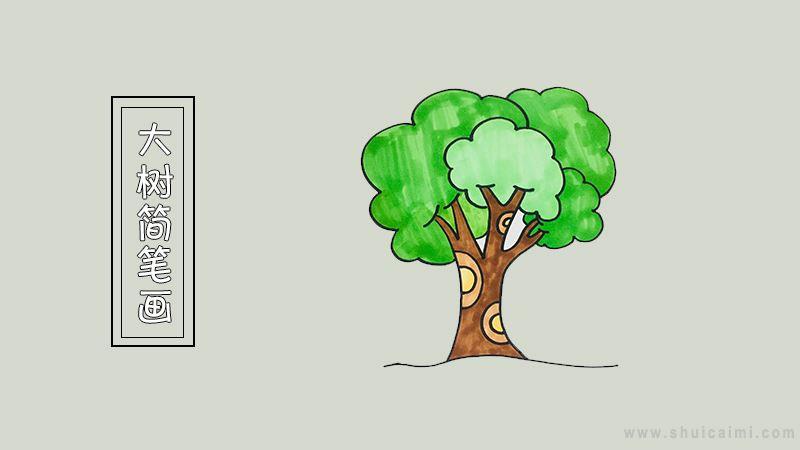 大树简笔画怎么画 大树简笔画步骤