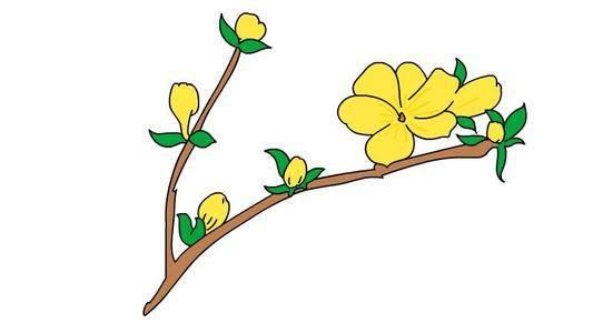 迎春花简笔画 迎春花简笔画简单又漂亮