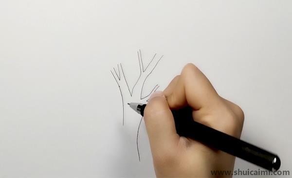 大树儿童画怎么画 彩色大树简笔画简单又好看
